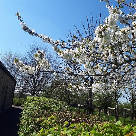 Vakantiehoeve De Klepperij Houthulst エクステリア 写真