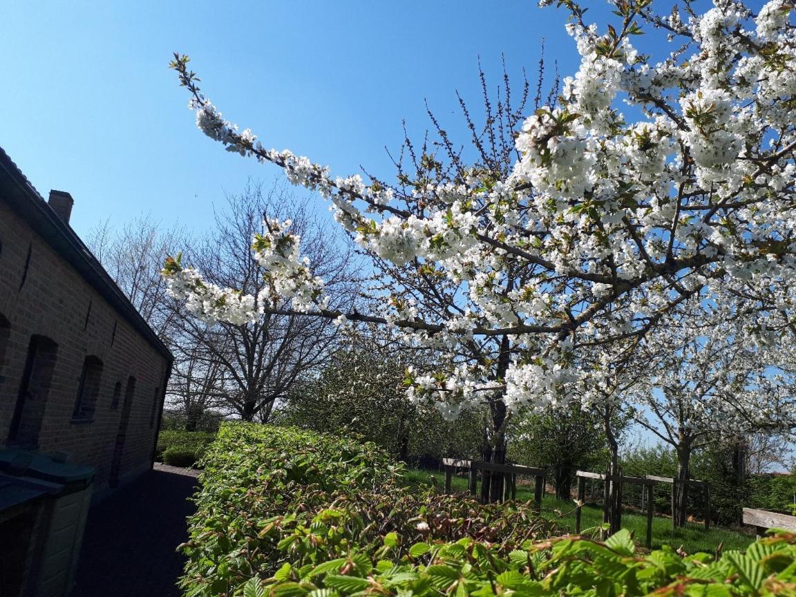 Vakantiehoeve De Klepperij Houthulst エクステリア 写真